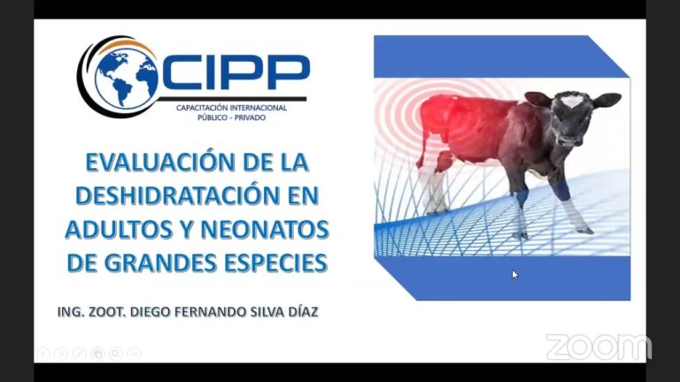 Avances en Innovaciones Tecnol&oacute;gicas para la Rehabilitaci&oacute;n Veterinaria