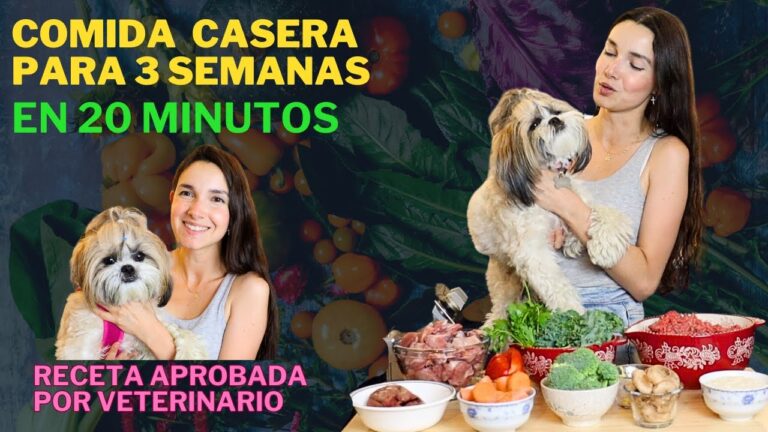 Recetas Veterinarias Caseras: Guía Práctica para Cuidar a tu Mascota