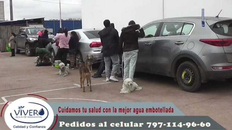 Esterilizaci&oacute;n: Pilar de la Salud Veterinaria Integral