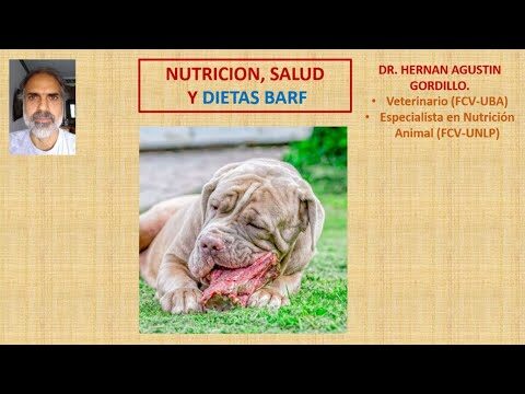 El Impacto de la Nutrición Animal en las Dietas Veterinarias