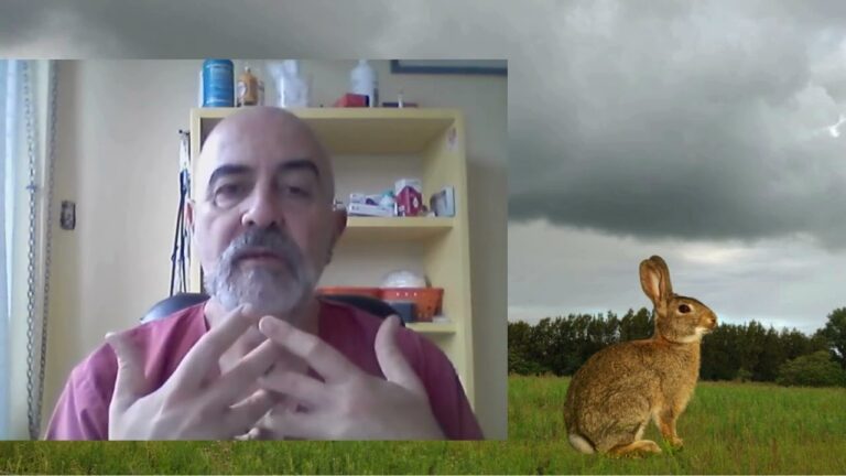 Prevenci&oacute;n de Enfermedades Bucales en Conejos: Gu&iacute;a Esencial