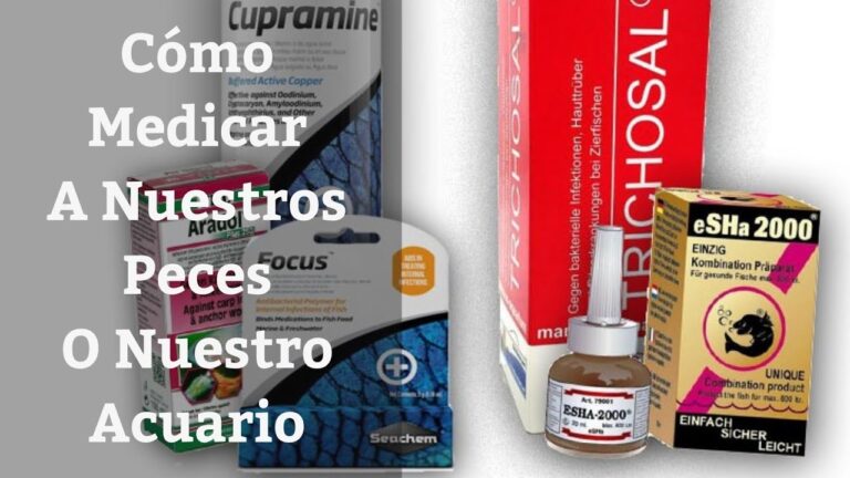 Atenci&oacute;n Preventiva para la Salud de los Peces en Acuarios