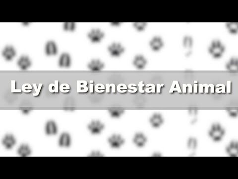 Desparasitaci&oacute;n de Animales: Clave para su Bienestar