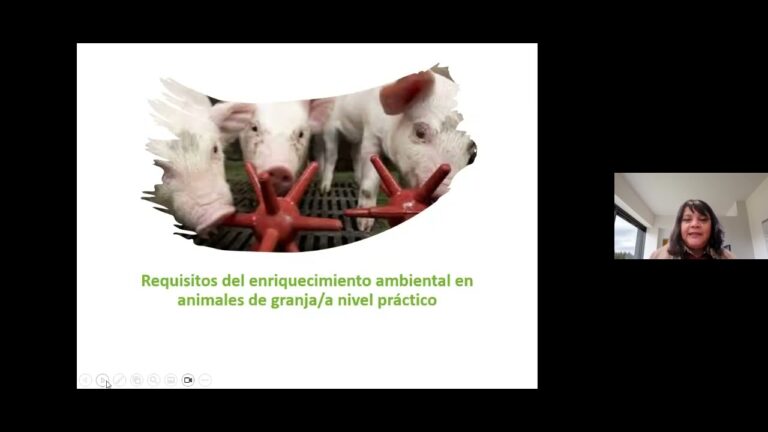 Psicolog&iacute;a Animal y Enriquecimiento Ambiental: Estrategias Efectivas