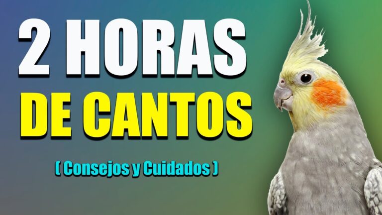 Adiestramiento Positivo y Cuidados Veterinarios para Aves