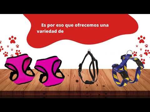 Accesorios Esenciales para el Cuidado de la Salud de tu Mascota
