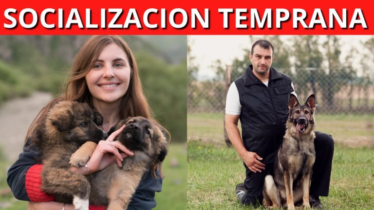 Conexi&oacute;n entre Psicolog&iacute;a Animal y Enriquecimiento Ambiental para el Bienestar