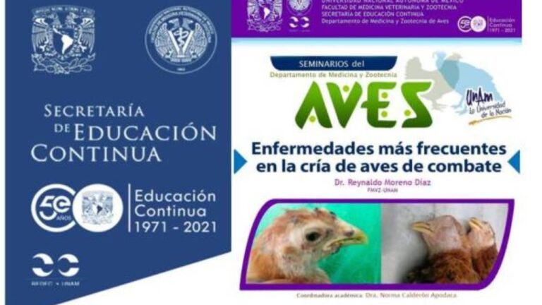 Enfermedades Comunes en la Cría de Animales: Prevención y Manejo