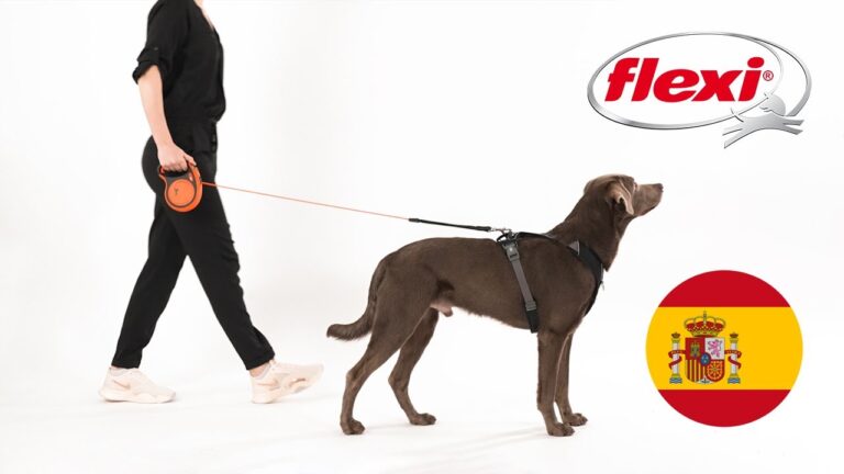 Mejora la Calidad de Vida de tu Mascota con Correaras Extensibles