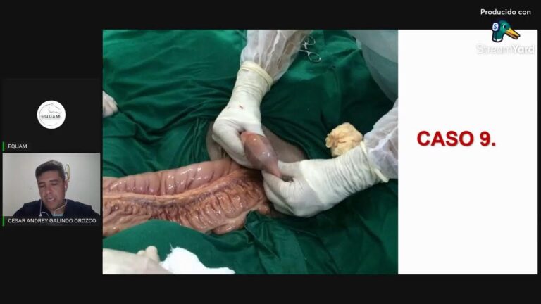 Evaluaci&oacute;n Veterinaria de Lesiones en Caballos y Equinos