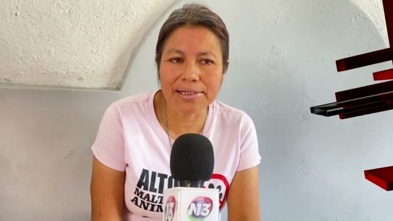 Bienestar Animal: Educaci&oacute;n para Due&ntilde;os Comprometidos