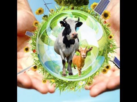 Enfoque Integral de &Eacute;tica y Bienestar Animal en Veterinaria