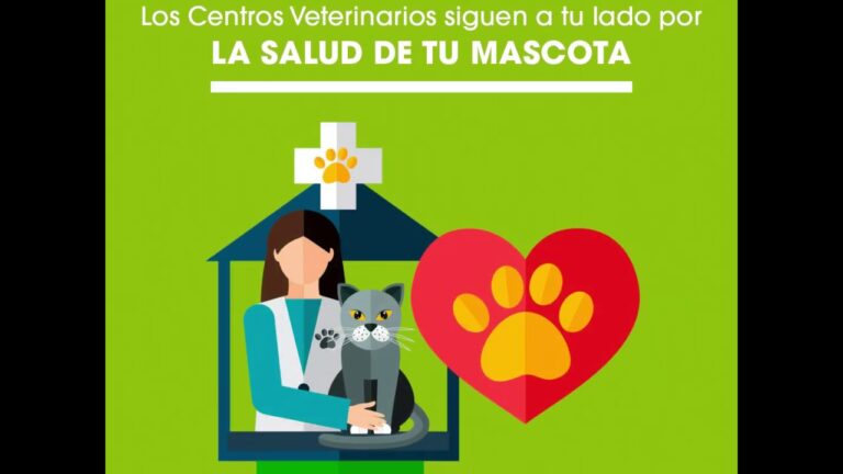 Cuida la Salud de tu Mascota: Gu&iacute;a de Tratamientos Veterinarios