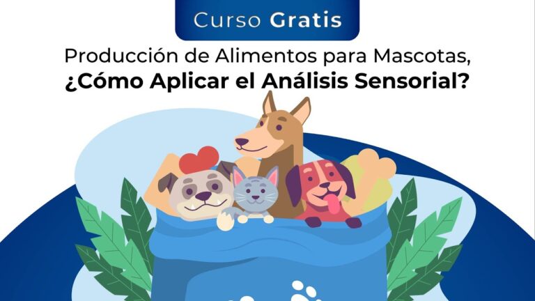 Gu&iacute;a Pr&aacute;ctica para un Plan de Alimentaci&oacute;n Saludable en Veterinaria Integral