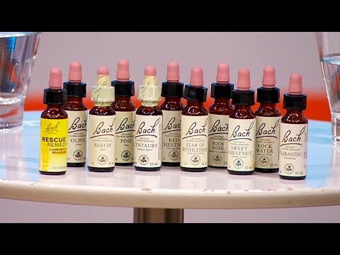 Sinergia de Acupuntura y Flores de Bach en Medicina Veterinaria Alternativa