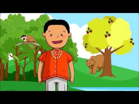 Necesidades Espec&iacute;ficas de Animales Ex&oacute;ticos en su H&aacute;bitat Natural