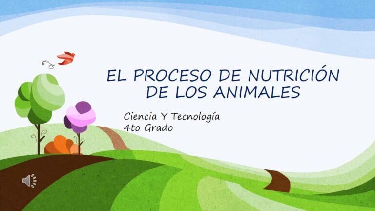 Cuidado Digestivo en Animales: Claves Nutricionales