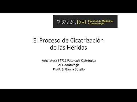 Innovaciones Transformadoras en Cirug&iacute;a Dental Veterinaria