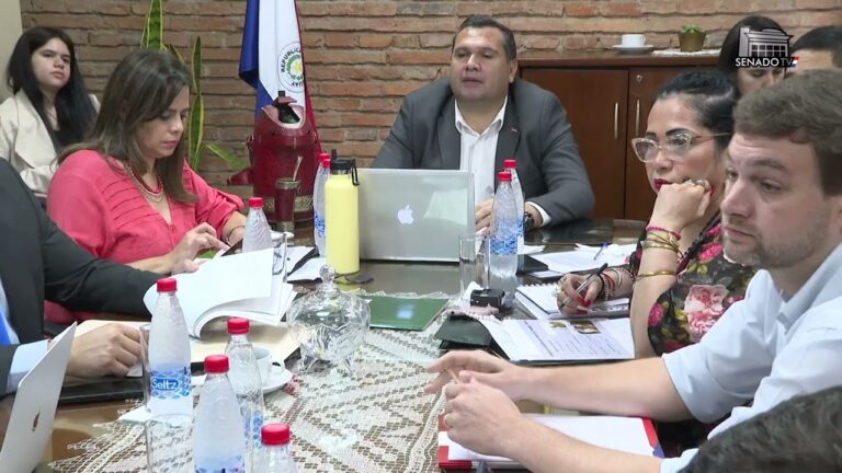 Avances en la legislaci&oacute;n para la protecci&oacute;n de los derechos de los animales