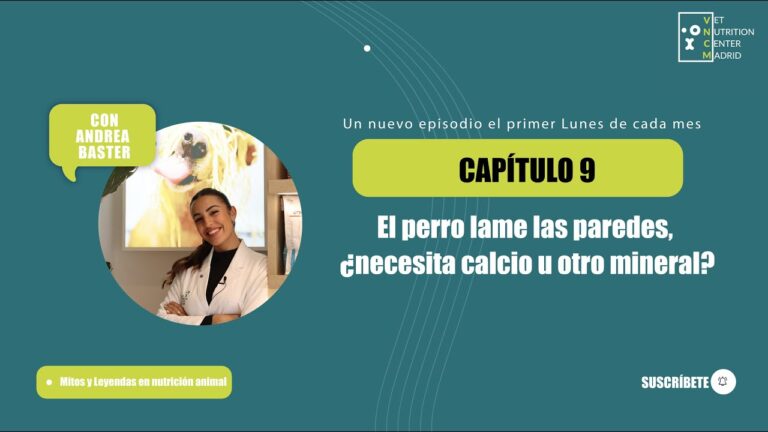 Desmitificando la desparasitaci&oacute;n de cachorros