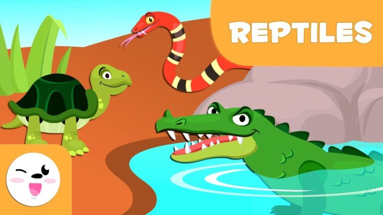 Sensibilidades en la Tenencia de Reptiles como Mascotas