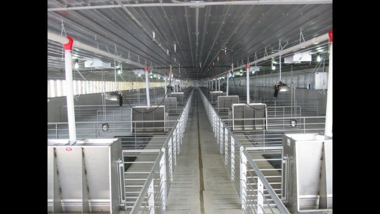 Mejorando la Seguridad en las Instalaciones de Cría Animal