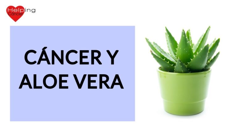 Alternativas No Quir&uacute;rgicas para Tumores Mamarios en Animales
