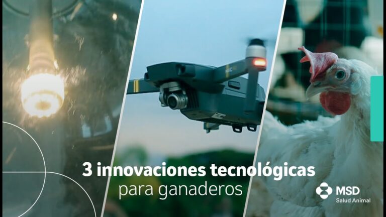 Avances en Innovaci&oacute;n Tecnol&oacute;gica para la Salud Animal