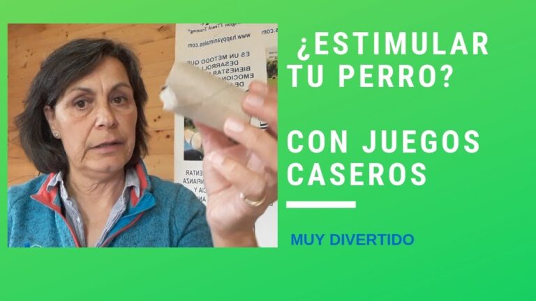 Estimulaci&oacute;n Mental: Soluci&oacute;n a Problemas de Comportamiento en Mascotas