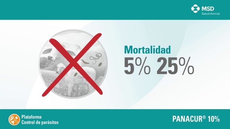 Estrategias Efectivas para la Prevenci&oacute;n de Par&aacute;sitos en Caballos de Granja