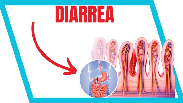 Diagn&oacute;stico Veterinario y Dietas Especializadas para la Salud Intestinal
