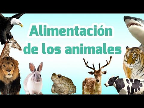 Hábitos Alimenticios de Conejos y Otros Pequeños Mamíferos