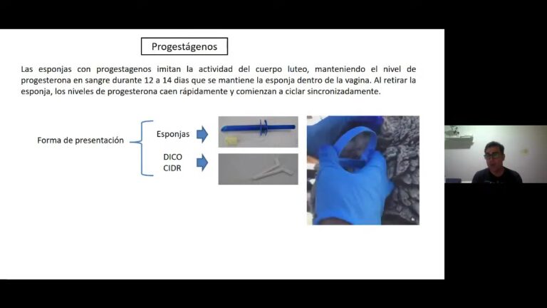 T&eacute;cnicas Avanzadas de Reproducci&oacute;n Animal: Innovaciones y Aplicaciones