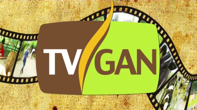 Productos Especializados para el Cuidado y Limpieza de Equinos