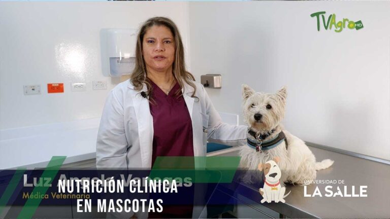 La conexi&oacute;n esencial entre nutrici&oacute;n animal y veterinaria