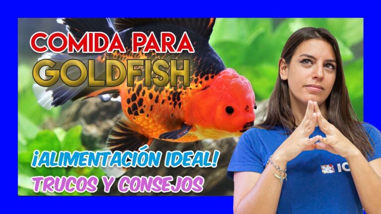 Salud y Nutrici&oacute;n &Oacute;ptima en Peces de Agua Fr&iacute;a