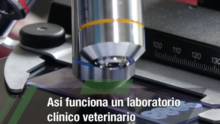 Innovaciones en Herramientas de Diagn&oacute;stico Veterinario en el Campo