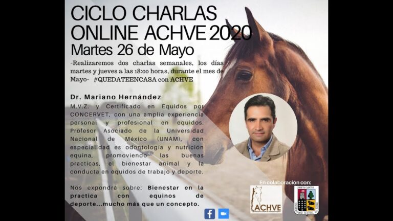 Medicina Deportiva Equina: Estrategias de Cuidados y Prevención de Lesiones