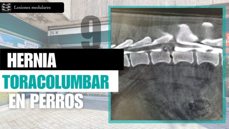 T&eacute;cnicas Avanzadas en Neurolog&iacute;a Veterinaria: Innovaciones y Aplicaciones