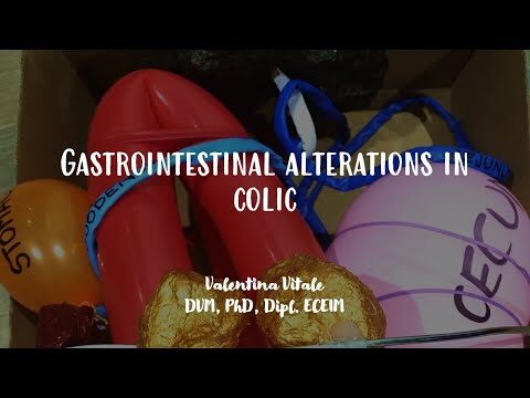 Alimentaci&oacute;n Efectiva para Prevenir Obstrucciones en Caballos