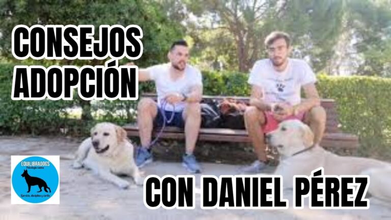 Gu&iacute;a Pr&aacute;ctica para Adoptar una Mascota de Forma Responsable