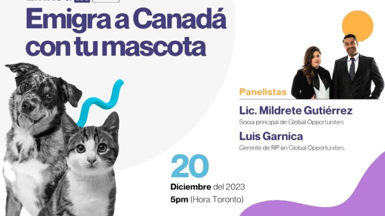 Microchip: Tecnolog&iacute;a Esencial para el Cuidado de Mascotas