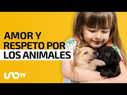 Criando con Respeto hacia los Animales