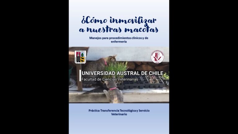 Explorando la Conexi&oacute;n entre Animales y Tecnolog&iacute;a Veterinaria