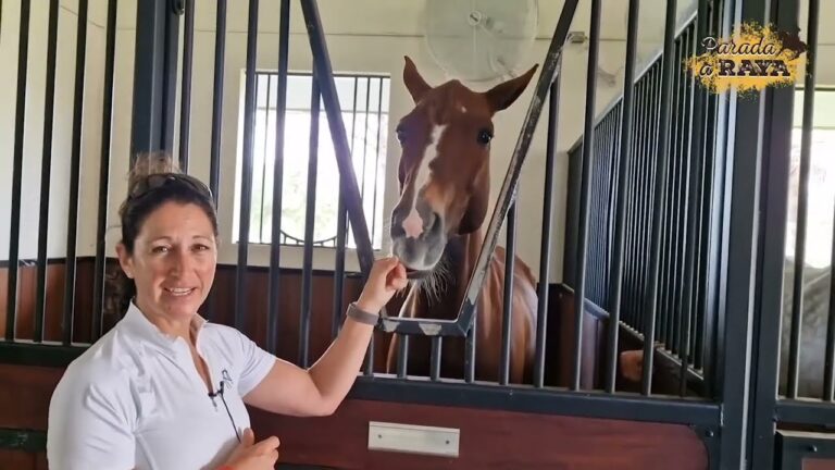 Salud y Limpieza en el Cuidado Equino