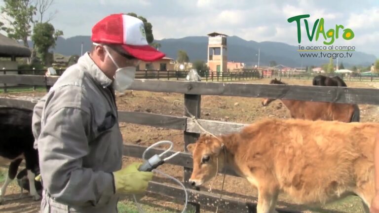 Control Efectivo de Enfermedades Virales en Equinos