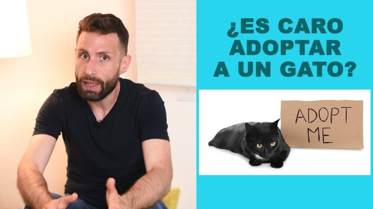 Costos de la Adopci&oacute;n de Animales: Lo que Debes Saber