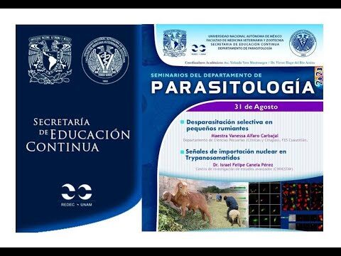 La Importancia de la Desparasitaci&oacute;n en la Fauna Silvestre