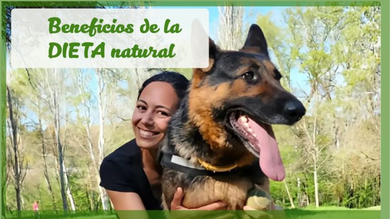 Beneficios de la Alimentación Natural en la Nutrición Animal