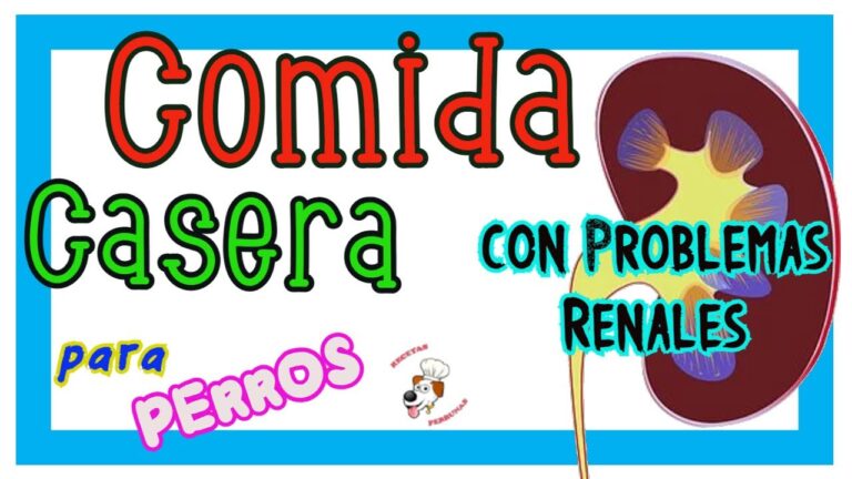 Dieta Balanceada: Calcio y F&oacute;sforo para Mascotas